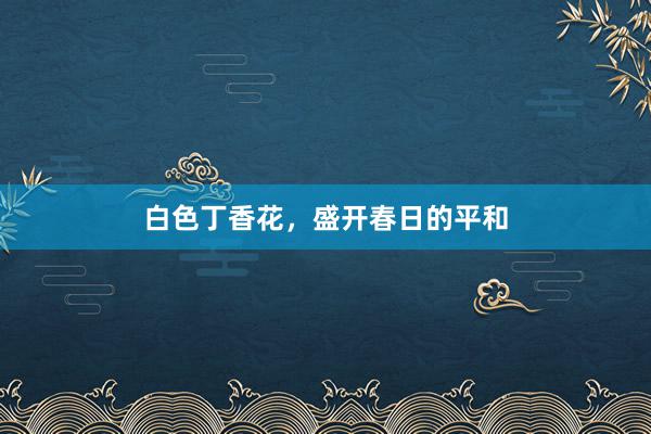 白色丁香花,盛开春日的平和