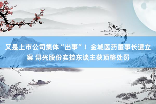 又是上市公司集体“出事”！金城医药董事长遭立案 浔兴股份实控东谈主获顶格处罚